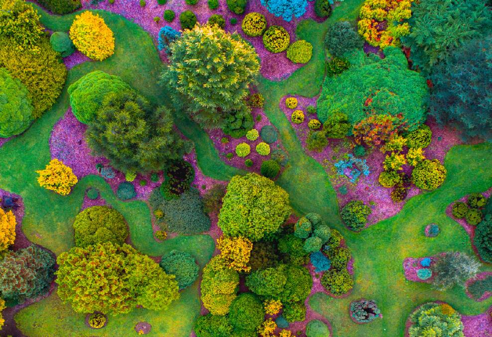 Mount Lofty Botanic Garden. Picture: Jake Wundersitz