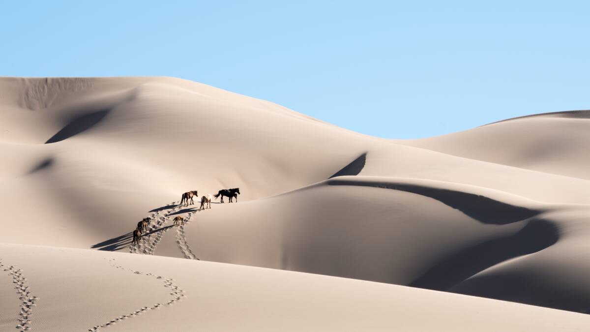 Sand dunes in Mongolia. Picture: Shutterstock Sand dunes in Mongolia. Picture: Shutterstock