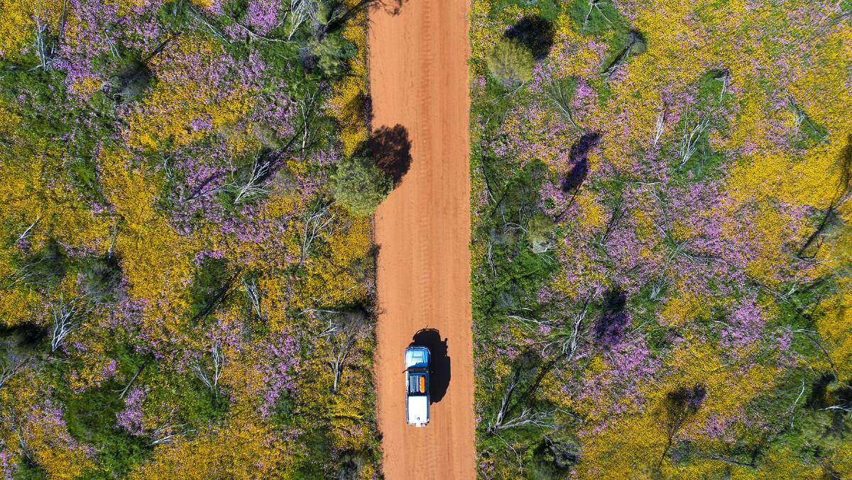 Coalseam Conservation Park. Picture: Tourism Western Australia