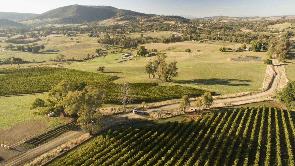 Vineyards of Tumbarumba. Picture by Destination NSW Vineyards of Tumbarumba. Picture by Destination NSW