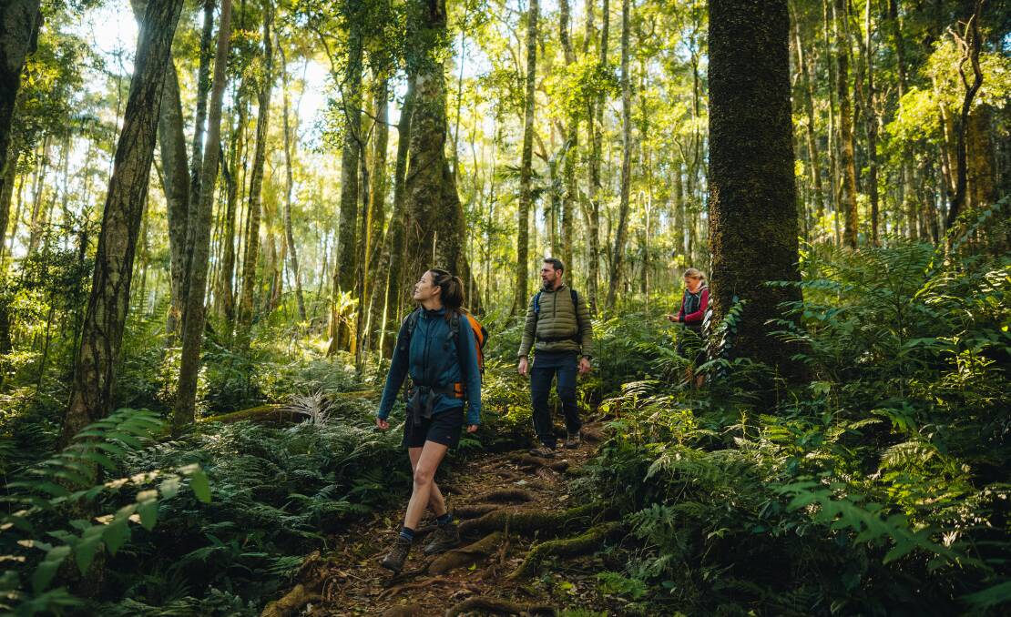 Spicers Scenic Rim Trail. Spicers Scenic Rim Trail.