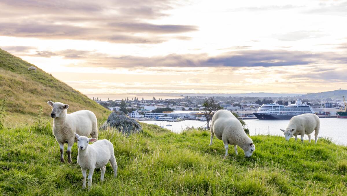 Tauranga (Mount Maunganui). Picture: Tim Faircloth Tauranga (Mount Maunganui). Picture: Tim Faircloth