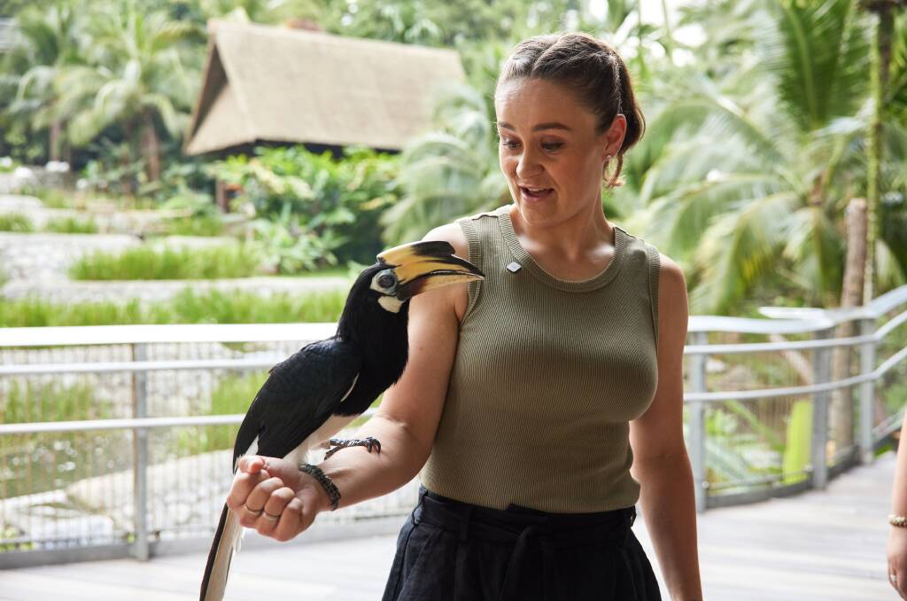 Ash Barty at Mandai Wildlife Reserve. Picture by David Ross Ash Barty at Mandai Wildlife Reserve. Picture by David Ross