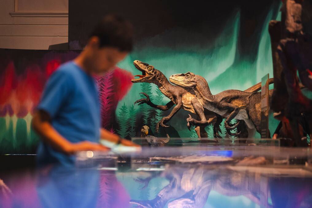 Australian Museum. Picture: Destination NSW Australian Museum. Picture: Destination NSW