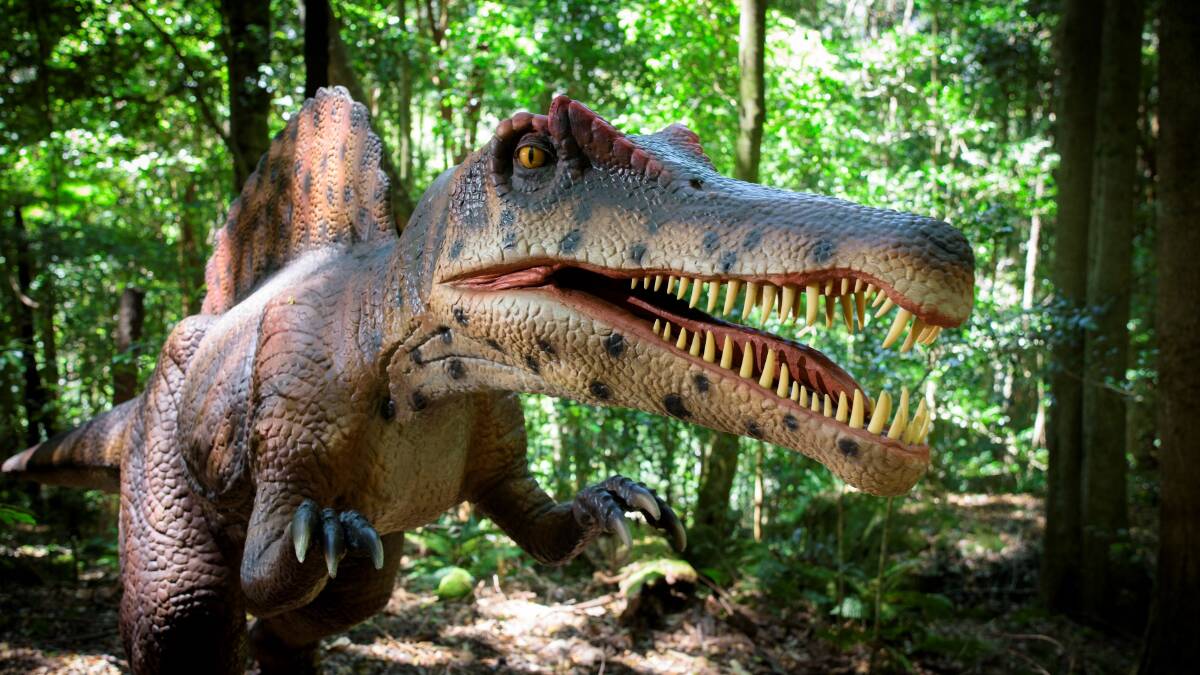 There are dino delights at every turn. There are dino delights at every turn.