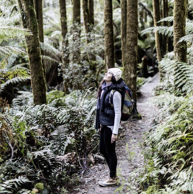 Great Otway National Park. Picture: Visit Victoria