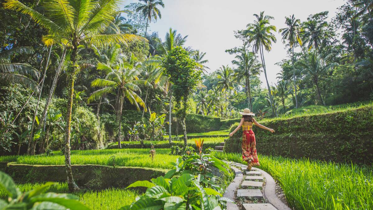 What's the best spot for a holiday in Bali: Seminyak or Ubud?