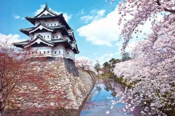 Explore this scenic nook of Japan as part of a luxury cruise