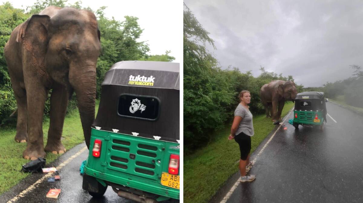 Ms Van Huisstede (right) stands back as an elephant raids her tuk-tuk in Sri Lanka. Pictures supplied