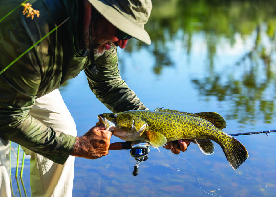 Reeling in a Murray cod. Picture supplied