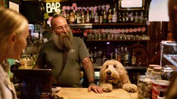 Scruffy Fella serves guests across the bar. Picture South Australian Tourism Commission