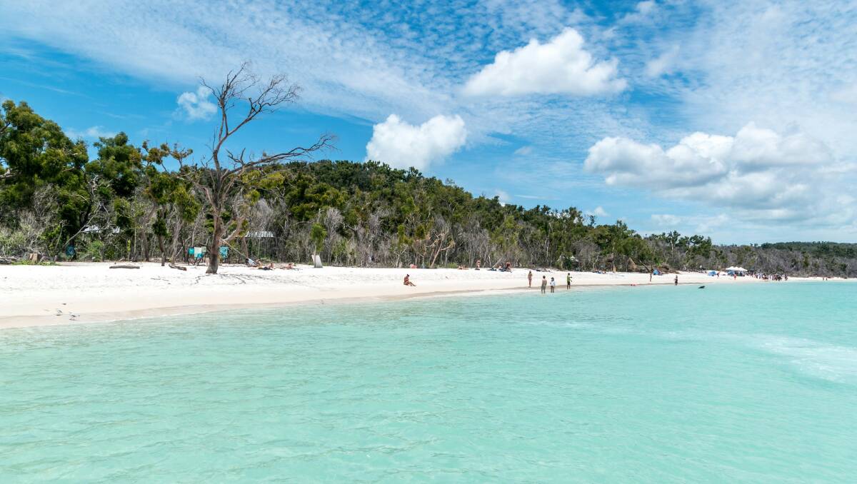 Whitehaven Beach in the Whitsundays. Picture by Unsplash