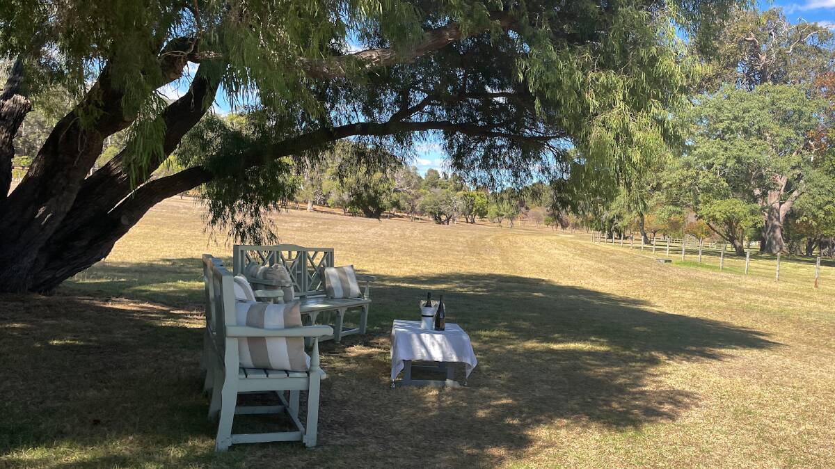 A glass of wine under a gum tree? Yes, please! Fraser Gallop Estate. Picture: Marlene Even