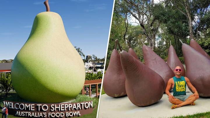 An artist's impression of Shepparton's proposed Big Pear and a tourist poses with George Baldessin's pear structure. Pictures by Bruce Mactier Building Designers / bigthingsofaustralia.com An artist's impression of Shepparton's proposed Big Pear and a tourist poses with George Baldessin's pear structure. Pictures by Bruce Mactier Building Designers / bigthingsofaustralia.com