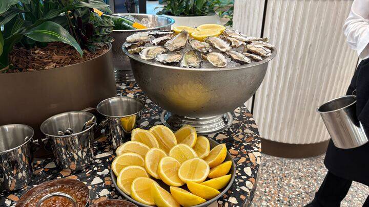 Sydney rock oysters from Tuncurry, NSW at Icebergs Bar and Kitchen. Picture by Carla Mascarenhas