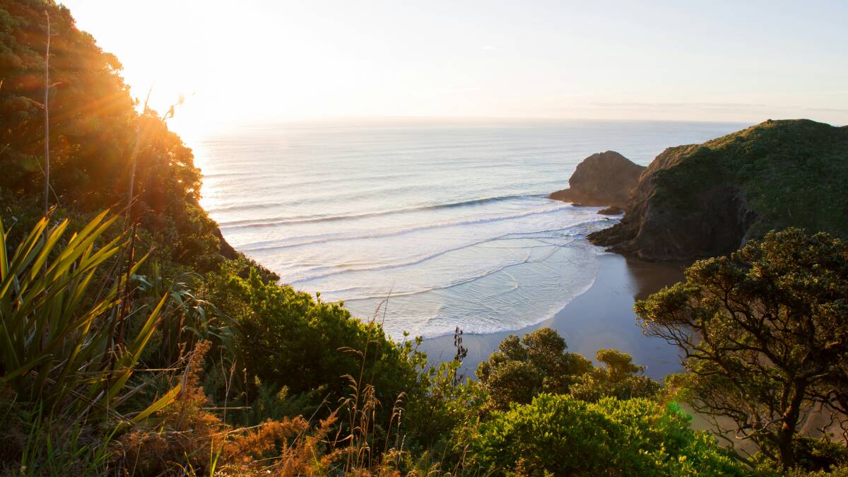 Between two iconic Auckland beaches - Anawhata and Piha - lies Whites Beach. Picture from Unsplash/Kyle Myburgh