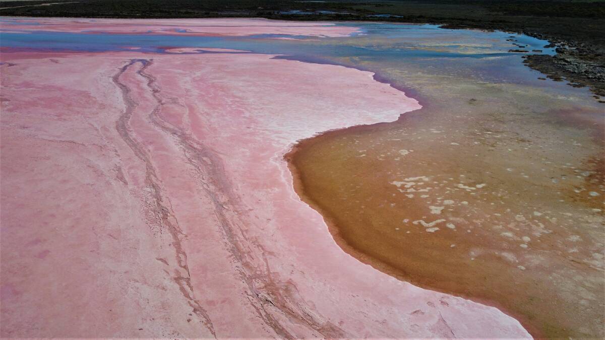Hutt Lagoon, a stunning salt lake with a changing pink colour, is a short drive from Geraldton. Picture by Unsplash
