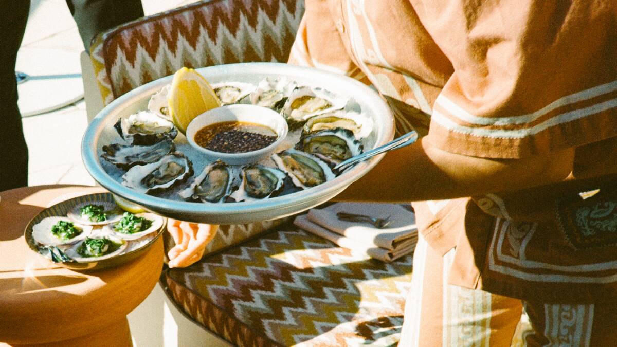 South Coast oysters at The Whale. Picture by Pete Karlstrom