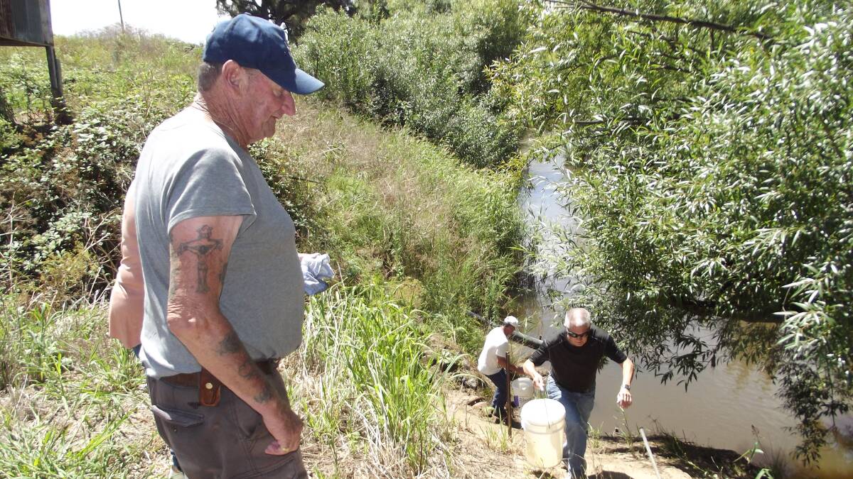 John Cochrane, Eddie Allman and Peter Wright formed a production line to release the fish into the Macquarie River in 2024. Picture supplied