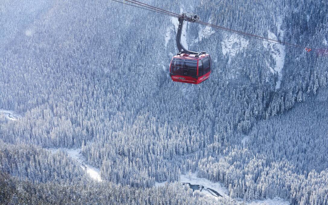 The Peak2Peak gondola. Picture by Matthew Sylvestre.