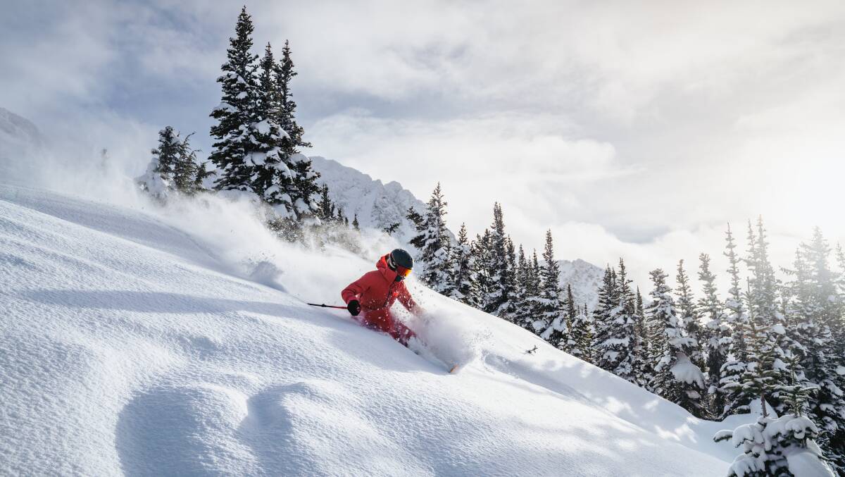Powder skiing at Whistler Blackcomb. Picture by Matthew Sylvestre