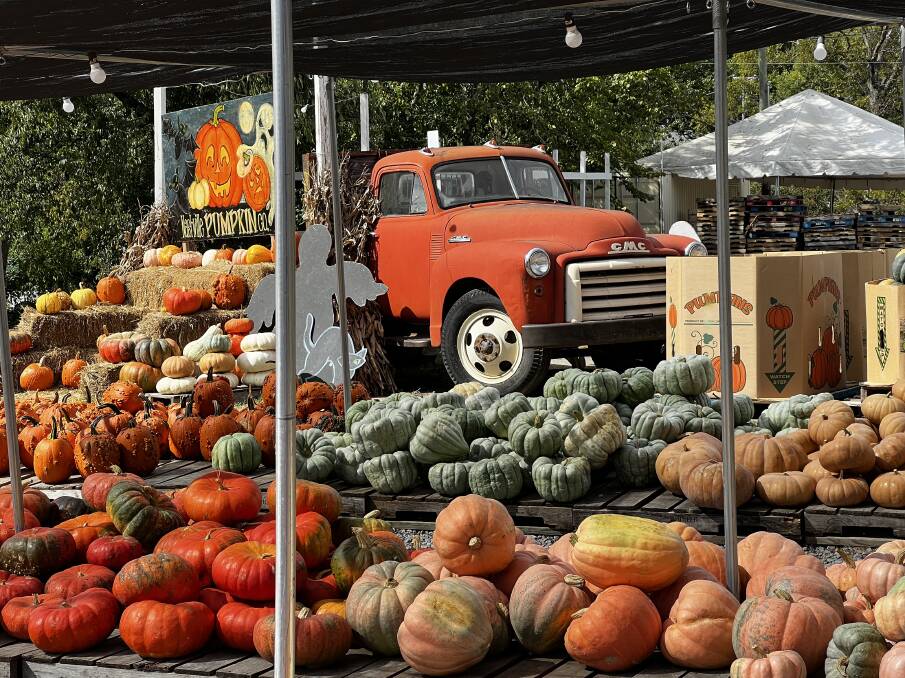 Pumpkins for sale in Nashville's 12 South neighbourhood. Picture: John Hanscombe Pumpkins for sale in Nashville's 12 South neighbourhood. Picture: John Hanscombe