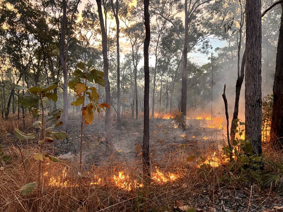 This Indigenous patchwork burn will regenerate the bush and reduce the risk of dry season fire. This Indigenous patchwork burn will regenerate the bush and reduce the risk of dry season fire.