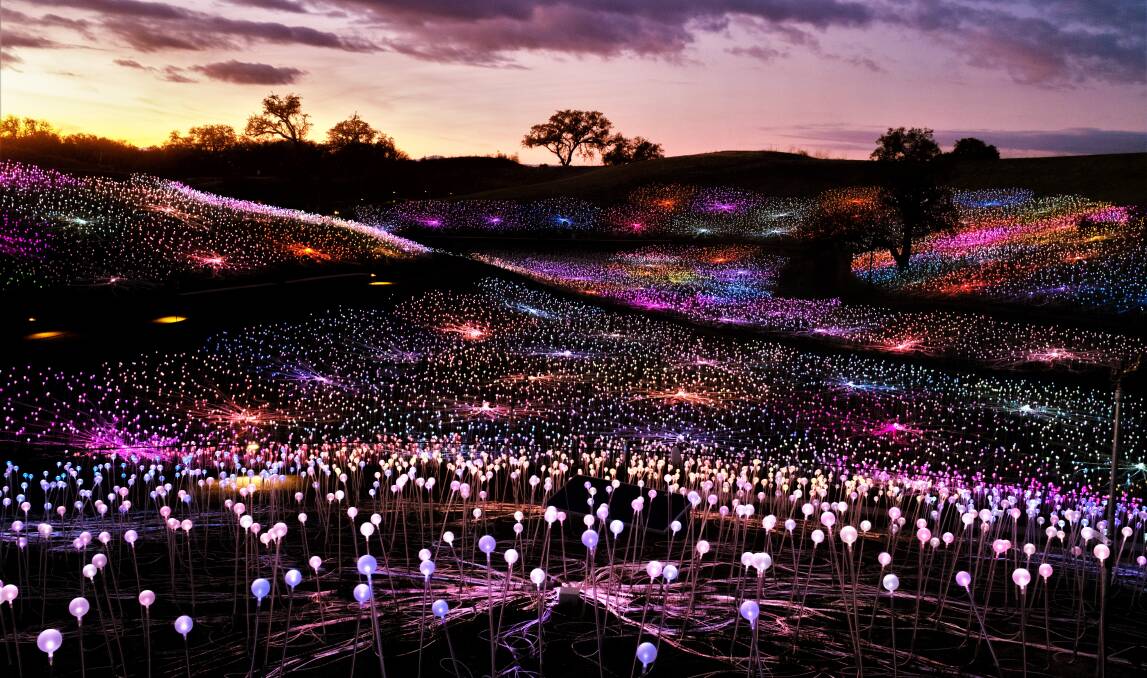 The spectacular Bruce Munro installation, Field of Light, at Sensorio in Paso Robles, California.