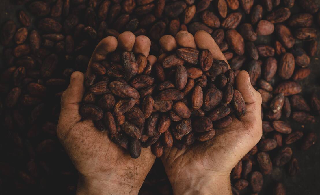 At a coffee farm. At a coffee farm.