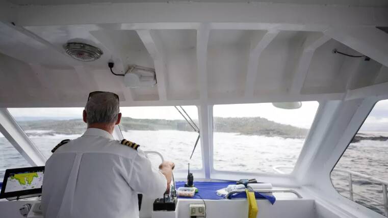Captain Cieslak's personal preference is to catch sight of the whales on the way back. Picture by Adam McLean