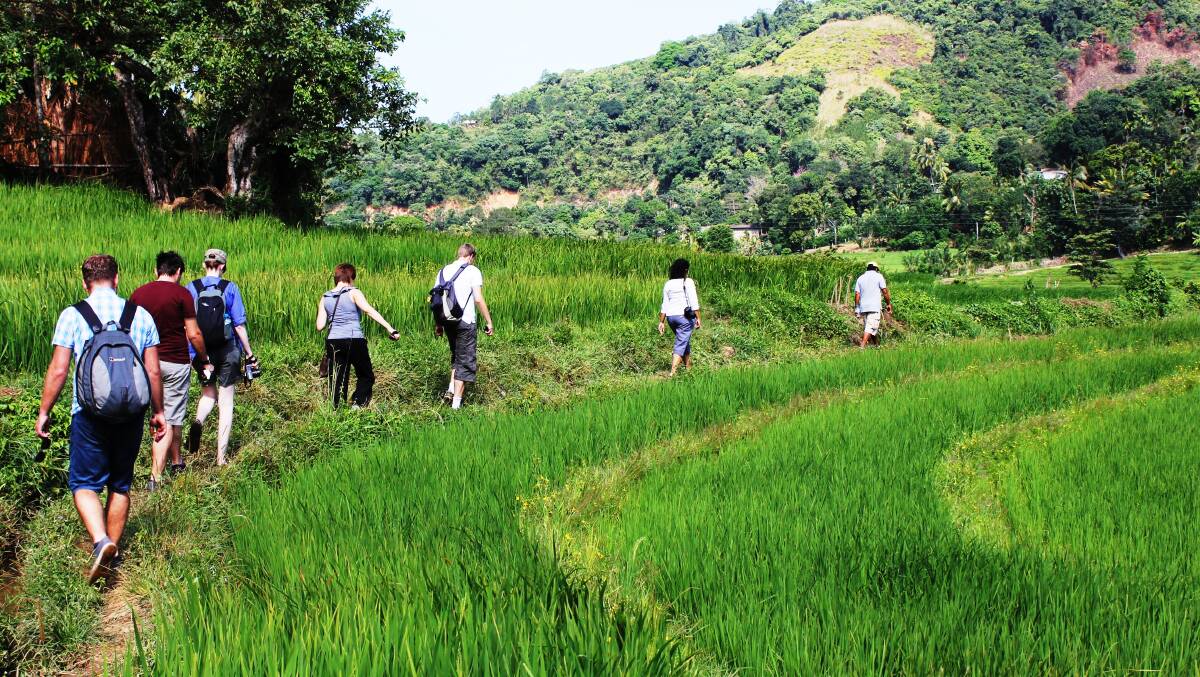 The Pekoe Trail in Sri Lanka follows the old path created by British tea planters in the 19th century. Picture by Intrepid Travel