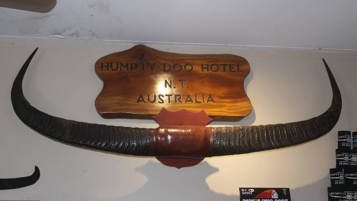 The buffalo horns at the Humpty Doo Hotel are claimed to be the largest in the southern hemisphere. Picture by Lloyd Jones/AAP PHOTOS The buffalo horns at the Humpty Doo Hotel are claimed to be the largest in the southern hemisphere. Picture by Lloyd Jones/AAP PHOTOS