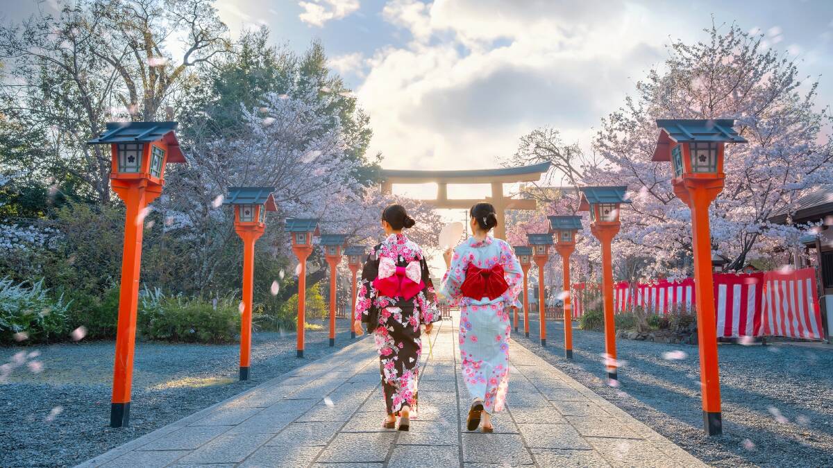 Cherry blossoms start blooming in southern Japan and work their way north. Picture supplied