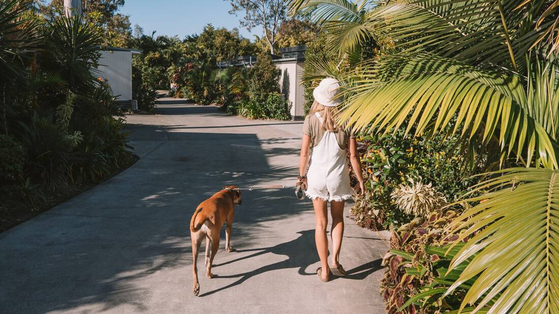 Keep your dog on a leash when staying at a holiday park. Picture: Supplied Keep your dog on a leash when staying at a holiday park. Picture: Supplied