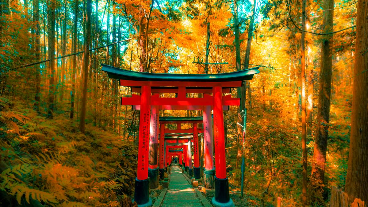 A shrine in Kyoto, Japan. Picture by Jezael Melgoza/Unsplash