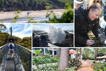 Day trips you can take from the NSW South Coast to the state's 'top tourism' towns