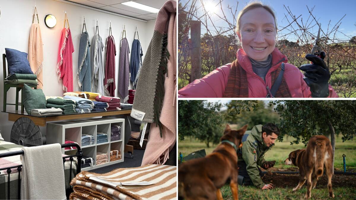 Clockwise from main: Waverley Mills; the writer at House of Arras; Pipers Brook Truffles. Pictures by Sarah Falson; supplied Clockwise from main: Waverley Mills; the writer at House of Arras; Pipers Brook Truffles. Pictures by Sarah Falson; supplied