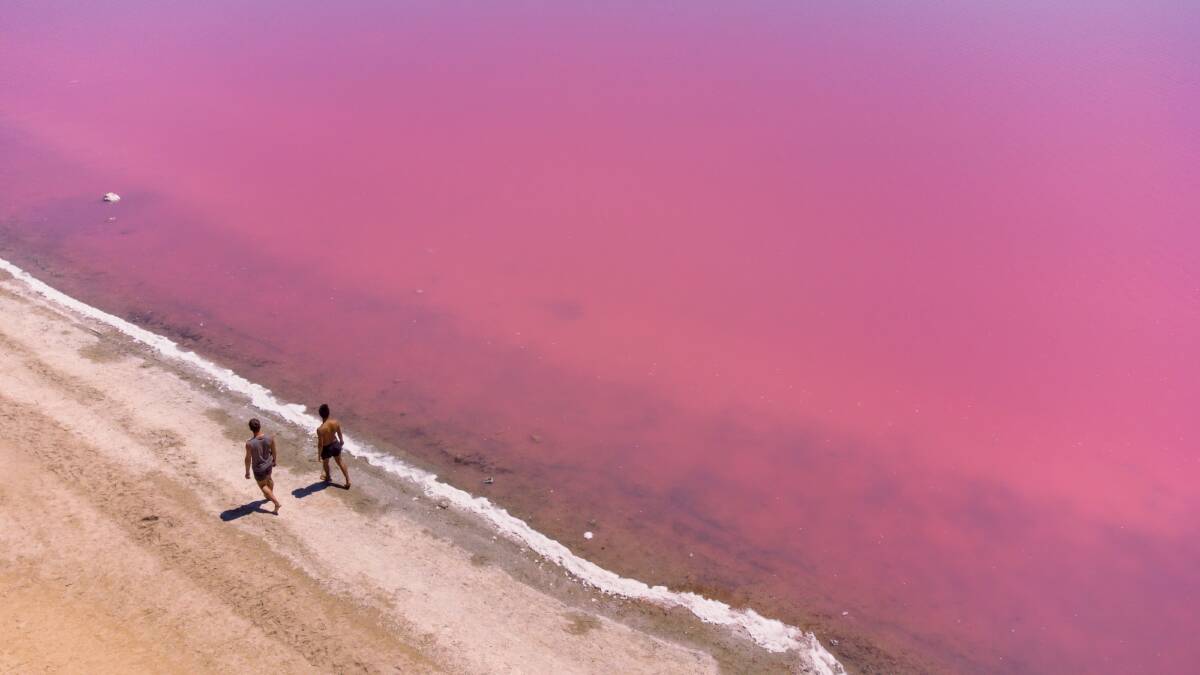 Hutt Lagoon, near Port Gregory in Western Australia. Picture by Tourism Western Australia