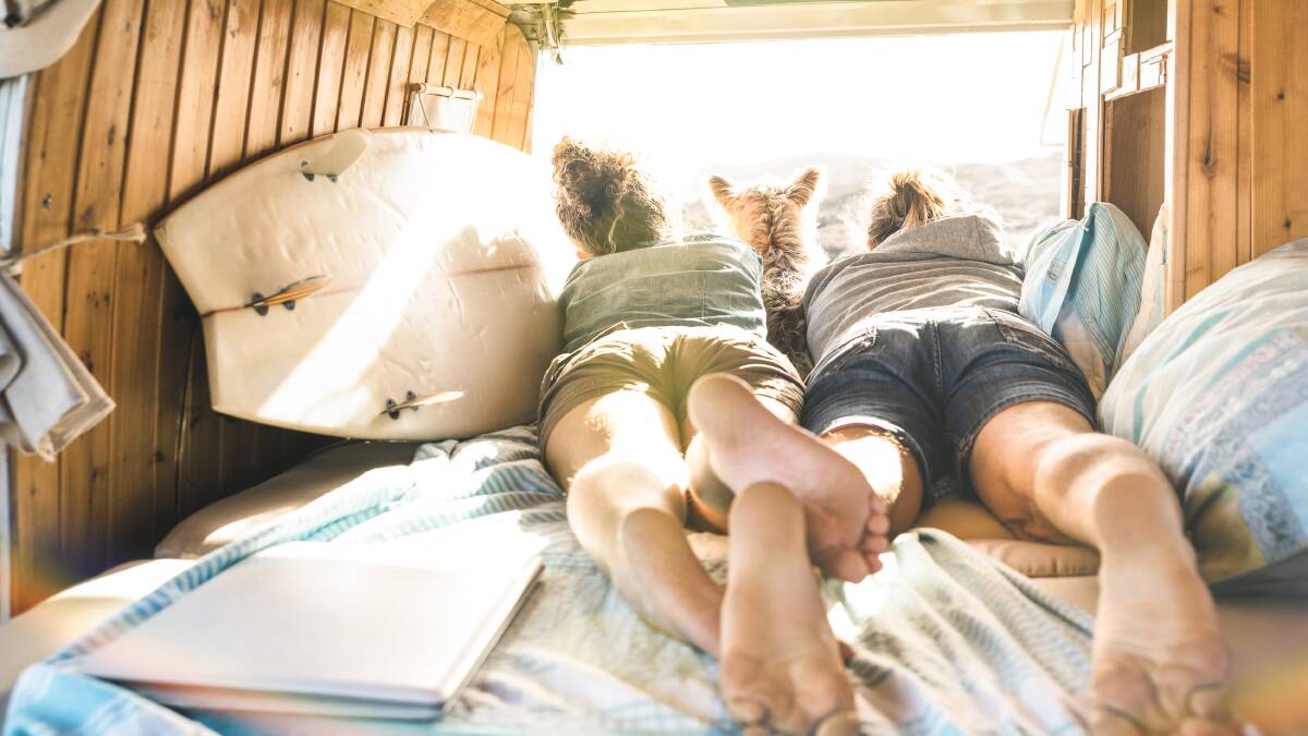 Picture by Shutterstock Picture by Shutterstock