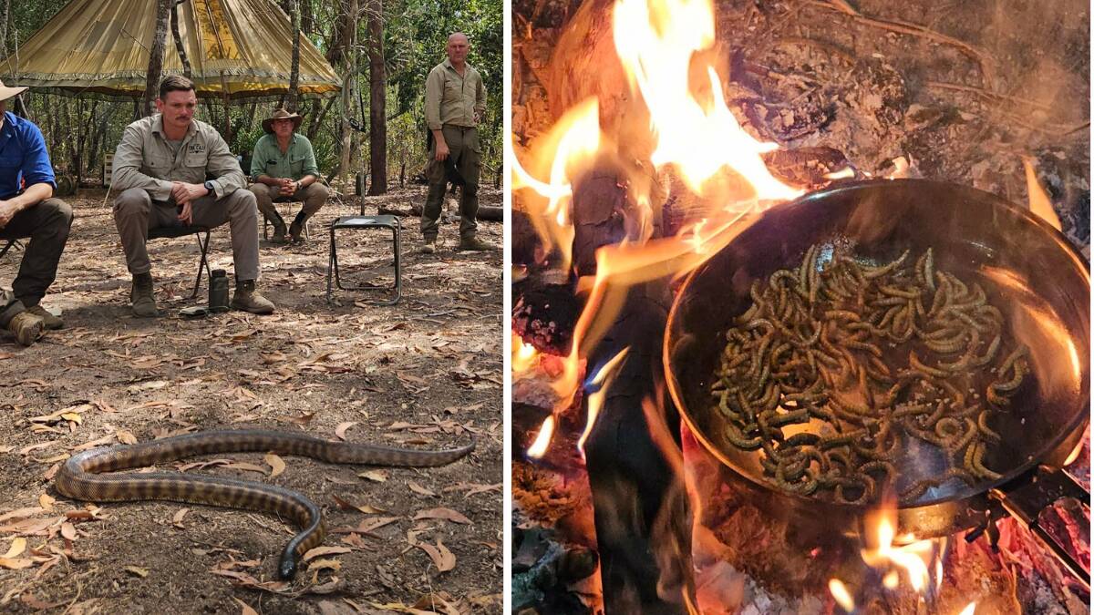 Some of the participants meet Lucifer the snake (left) and mealworms for dinner - delicious.