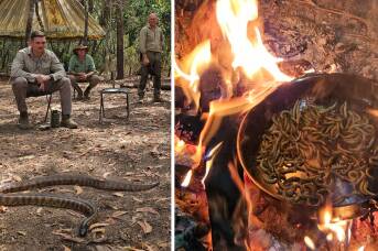 'Fussy people die': how a trumpet player, a spy and a snake changed my life