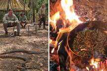 'Fussy people die': how a trumpet player, a spy and a snake changed my life