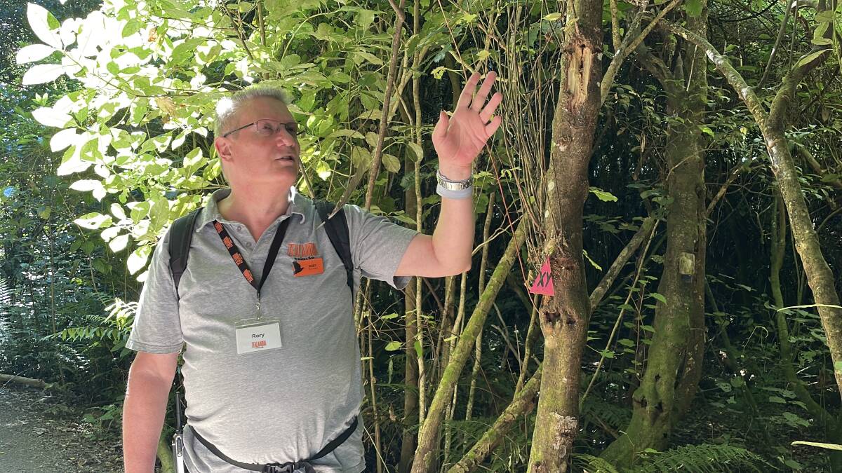 Rory, our tour guide at Zealandia in Wellington. Picture by Sarah Falson Rory, our tour guide at Zealandia in Wellington. Picture by Sarah Falson