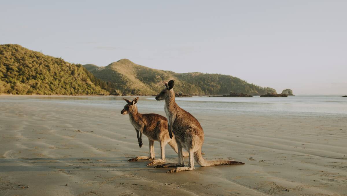 Mackay, Qld.