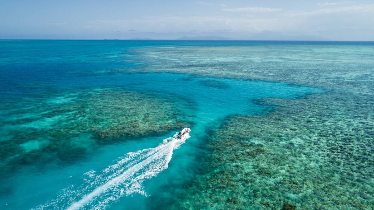 Great Barrier Reef off Cairns, Qld.