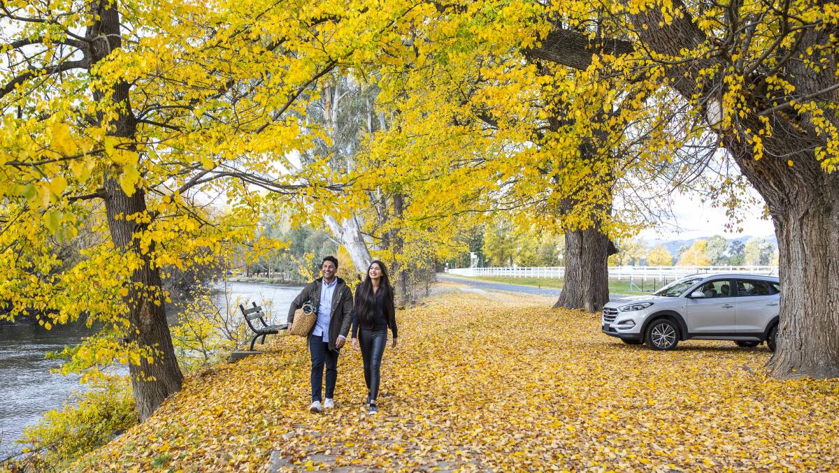 The scenic Tumut River walk. Picture by Destination NSW The scenic Tumut River walk. Picture by Destination NSW