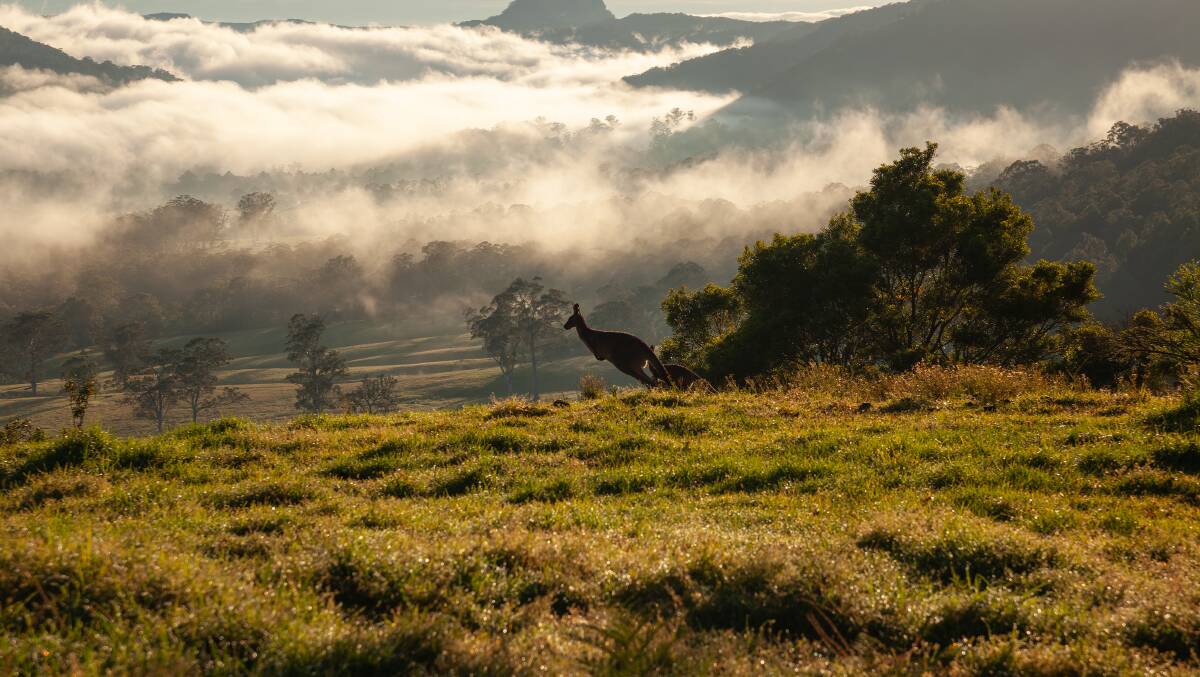 Aussies visit the Southern Highlands in NSW for its cool-climate wineries and country estates. Aussies visit the Southern Highlands in NSW for its cool-climate wineries and country estates.
