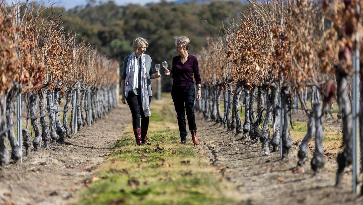 Stanthorpe is a grape-growing region and boasts 40 cellar doors. Picture by Tourism and Events Queensland