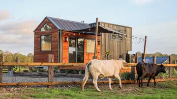 An Airbnb tiny house in Cooranbong, NSW. Picture supplied