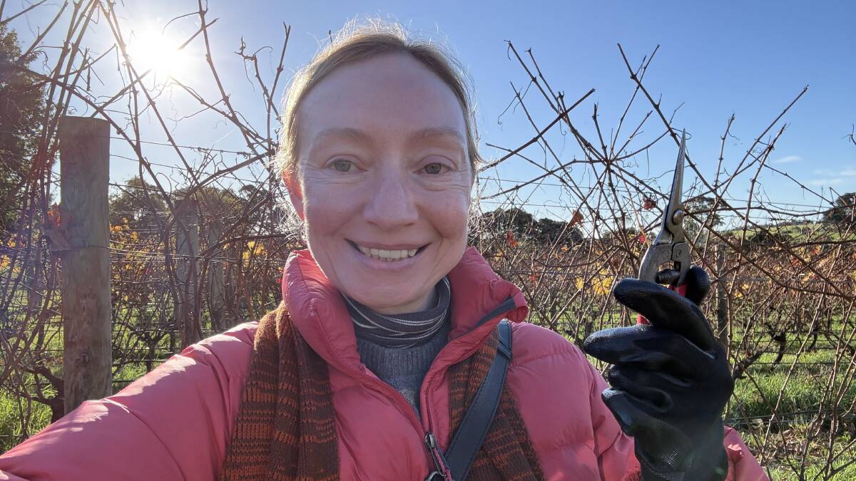 The writer gets ready to prune a vine at House of Arras. Picture by Sarah Falson The writer gets ready to prune a vine at House of Arras. Picture by Sarah Falson